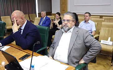 Заседание Комитета Совета Федерации по бюджету и финансовым рынкам