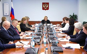 Заседание Комиссии Совета Федерации по развитию креативных (творческих) индустрий и народных художественных промыслов в Российской Федерации