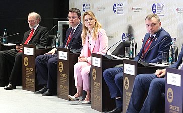 XXVIII Петербургский международный экономический форум (ПМЭФ’25). «Роль государства и медиа в в формировании мировоззрения и ценностей человека»