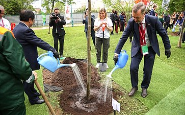 Церемония высадки деревьев в рамках проведения международной эколого-патриотической акции «Сад памяти», приуроченной к году Защитника Отечества
