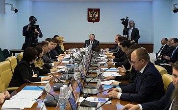 Расширенное заседание Комитета Совета Федерации по социальной политике