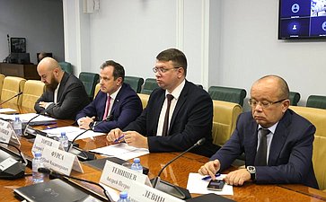 Круглый стол Комитета СФ по экономической политике