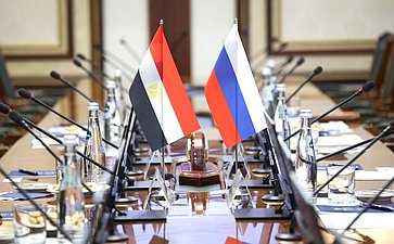 Встреча заместителя Председателя Совета Федерации Инны Святенко с Чрезвычайным и Полномочным Послом Арабской Республики Египет в Российской Федерации Хамди Шаабаном