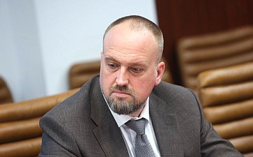 Заседание Экспертного совета по физической культуре и спорту при Комитете Совета Федерации по социальной политике