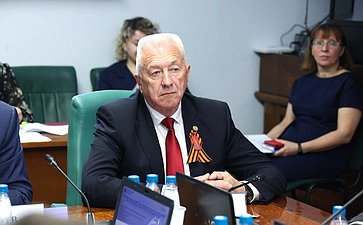 Расширенное заседание Комитета СФ по социальной политике (в рамках Дней Волгоградской области в Совете Федерации)