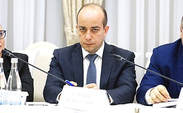 Выездное заседание Комитета Совета Федерации по бюджету и финансовым рынкам