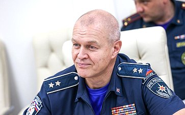 Совещание по вопросам подготовки и издания Свода правил «Системы противопожарной защиты многоквартирных жилых домов с применением конструкций из древесины и древесных материалов»