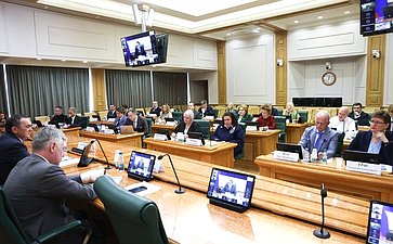 Заседание экспертно-консультативного совета при Комитете Совета Федерации по конституционному законодательству и государственному строительству