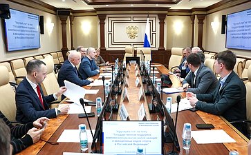 Круглый стол Комитета Совета Федерации по экономической политике «Государственная поддержка комплексного развития малой авиации и авиационных видов спорта в РФ»