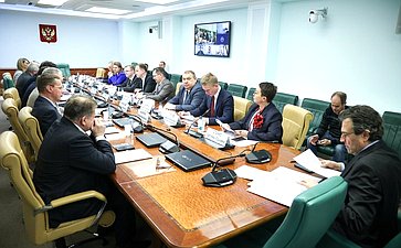 Круглый стол Комитета Совета Федерации по федеративному устройству, региональной политике, МСУ и делам Севера на тему «Актуальные проблемы развития сегмента строительства малоэтажных жилых комплексов»