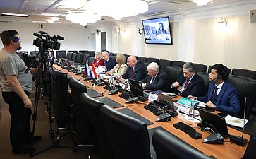 Встреча группы по сотрудничеству Совета Федерации с парламентами стран Латинской Америки и группы дружбы с Россией Палаты сенаторов Национального конгресса Республики Парагвай