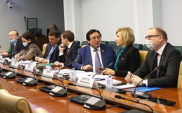 Заседание Совета по Арктике и Антарктике при СФ