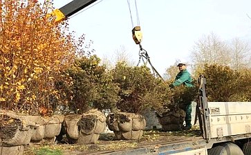 Александр Усс принял участие в высадке деревьев в экопарке «Юдинская долина»