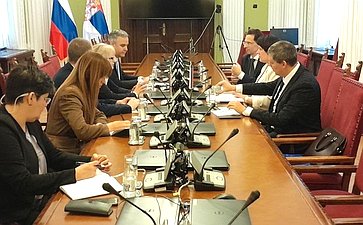 Елена Афанасьева встретилась с сербскими парламентариями в Народной скупщине Республики Сербии