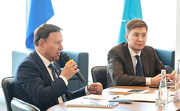Александр Ролик и Виталий Алтабаев провели круглый стол по текущим вопросам развития лесного комплекса на Дальнем Востоке