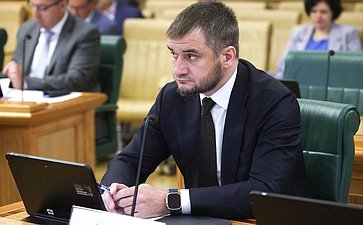 Заседание Комитета Совета Федерации по бюджету и финансовым рынкам