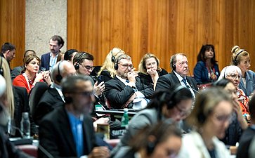 Сенаторы РФ приняли участие в заседании Постоянного комитета по вопросам демократии и прав человека Межпарламентского союза
