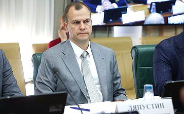 Заседание Совета по вопросам газификации субъектов Российской Федерации при Совете Федерации Федерального Собрания Российской Федерации