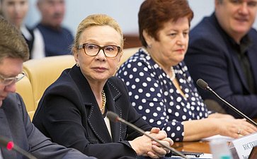 Л. Косткина Расширенное заседание Комитета СФ по социальной политике