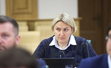 Заседание экспертно-консультативного совета при Комитете Совета Федерации по конституционному законодательству и государственному строительству