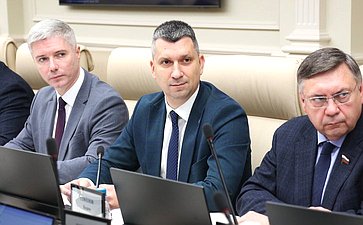 Расширенное заседание Комитета СФ по Регламенту и организации парламентской деятельности (в рамках дней Тульской области в Совете Федерации)