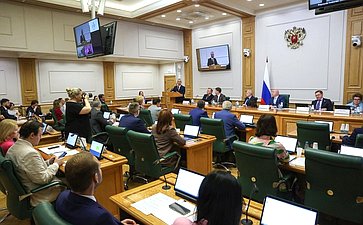 Заседание Комитета Совета Федерации по конституционному законодательству и государственному строительству