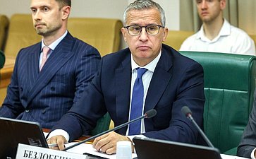 Заседание Совета по развитию транспортного комплекса в субъектах РФ при Совете Федерации