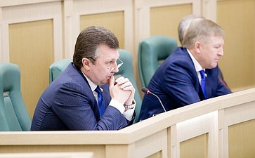 В. Васильев 371-е заседание Совета Федерации