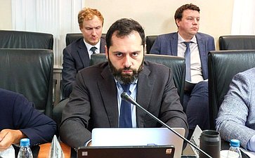 Заседание Комитета Совета Федерации по федеративному устройству, региональной политике, местному самоуправлению и делам Севера