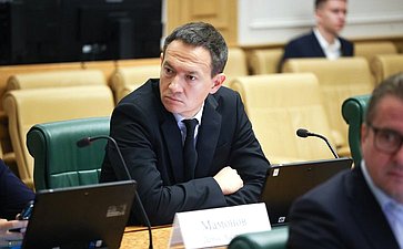 Заседание Комитета Совета Федерации по бюджету и финансовым рынкам
