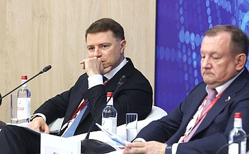 XXVIII Петербургский международный экономический форум (ПМЭФ’25). «Инвестиции в электроэнергетике на горизонте до 2050 года»
