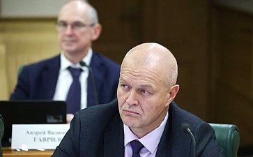 Расширенное заседание Комиссии СФ по мониторингу законодательства Российской Федерации в сфере государственного контроля (надзора) и муниципального контроля в РФ