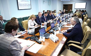 Заседание Комитета Совета Федерации по социальной политике
