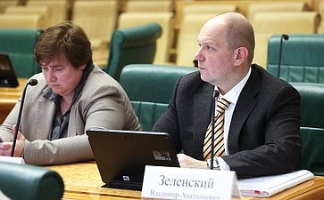 Заседание Комитета Совета Федерации по бюджету и финансовым рынкам