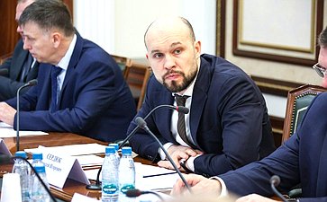 Совещание Комитета Совета Федерации по обороне и безопасности «Опыт внедрения и применения беспилотных систем в войсках национальной гвардии Российской Федерации»