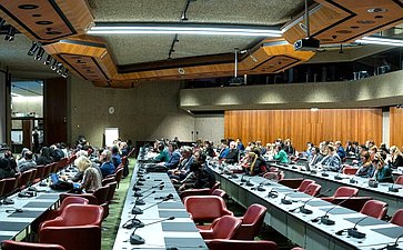 Сенаторы РФ приняли участие в заседании Постоянного комитета по вопросам демократии и прав человека Межпарламентского союза