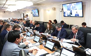 Расширенное заседание Комитета СФ по федеративному устройству, региональной политике, МСУ и делам Севера