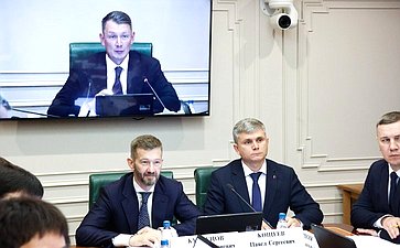 Заседание Комитета СФ по аграрно-продовольственной политике и природопользованию (в рамках Дней Чукотского автономного округа в Совете Федерации)