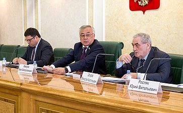 Заседание Совета по вопросам развития Дальнего Востока и Байкальского региона