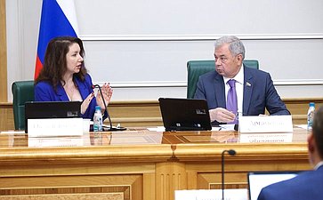Заседание Комитета Совета Федерации по бюджету и финансовым рынкам