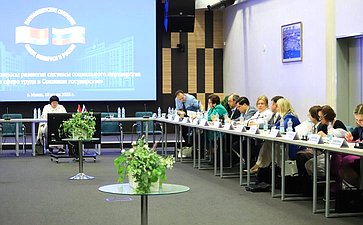 Елена Афанасьева приняла участие в секционном заседании постоянно действующего семинара при Парламентском Собрании Союза Беларуси и России по вопросам строительства Союзного государства