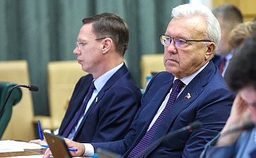 Расширенное заседание Комитета СФ по федеративному устройству, региональной политике, местному самоуправлению и делам Севера