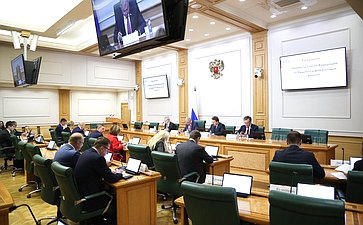 Заседание Комитета Совета Федерации по бюджету и финансовым рынкам