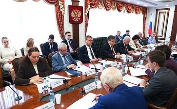 Заседание Комитета Совета Федерации по международным делам