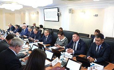 Расширенное заседание Комитета СФ по Регламенту и организации парламентской деятельности (в рамках Дней Волгоградской области в Совете Федерации)