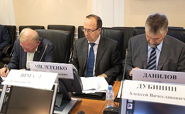 Заседание Экспертного совета Комитета СФ по экономической политике по совершенствованию законодательства в сфере развития топливно-энергетического комплекса