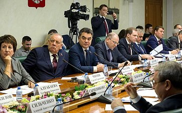 Совещание Комитета СФ по экономической политике на тему «О перспективах развития российского судостроения»