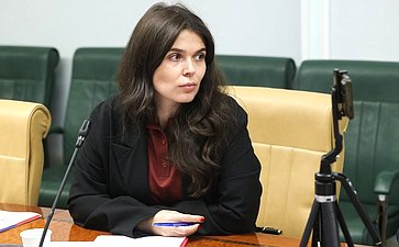 Круглый стол Комитета СФ по социальной политике на тему «О дополнительных мерах поддержки молодых семей в субъектах РФ: законодательный аспект»