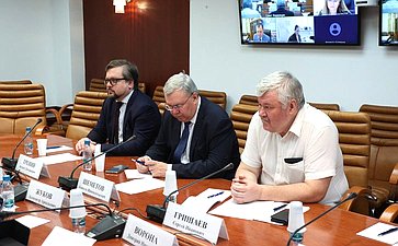 Совещание Комитета СФ по экономической политике «Добыча и переработка редкоземельных металлов: проблемы и пути решения»
