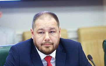 Круглый стол «Первоочередные меры в области развития программ экспериментальных правовых режимов в сфере цифровых инноваций по эксплуатации беспилотных авиационных систем»
